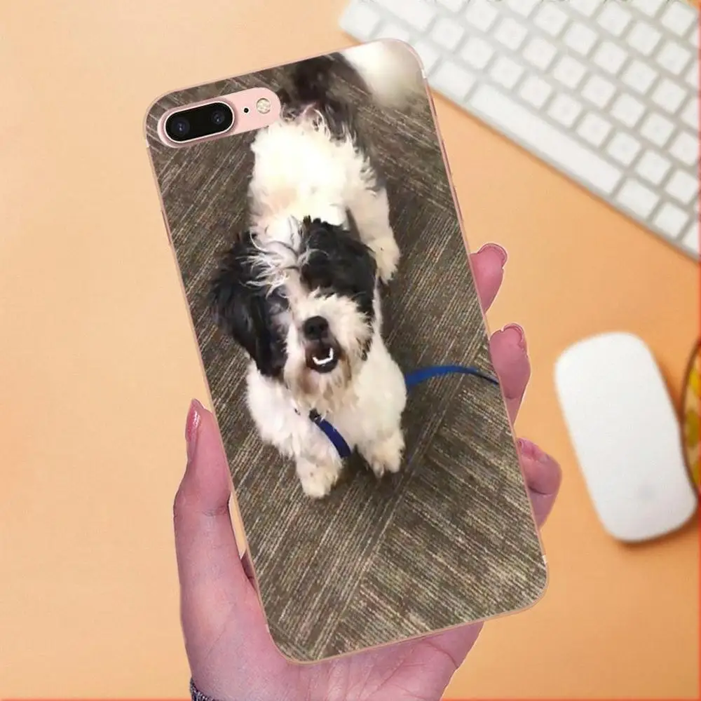 Love Pretty Shih Tzu Puppy Dogs Мягкая Мода для Sony Xperia Z Z1 Z2 Z3 Z4 Z5 compact Mini M2 M4 M5 T3 E3 E5 XA XA1 XZ Premium |
