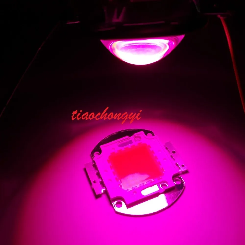 100 Вт DIY led grow light 380-840nm kit чип + Драйвер вентилятор радиатора объектив 60 градусов |