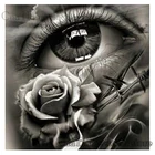 5D diy алмазные картины полный цветок Роза глаза сверла вышивка шаблон 3d крестиком наборы декор комнаты рукоделие стикер на стену