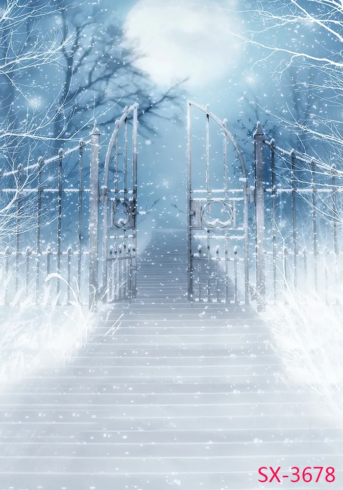 LIFE MAGIC BOX Photography Backdrops Backgrounds For Photo Studio Camera De Re Iron Gate MHSX-3678 | Электроника