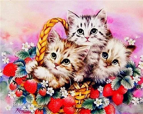 AZQSD Алмазная мозаика кошка Алмазная картина животные Стразы DIY Полная квадратная круглая Алмазная вышивка украшение дома подарок - Цвет: 3557