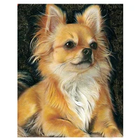full square round drill 5d diy diamond painting chihuahua dog cross stitch rhinestones paintings by numberzp 1632