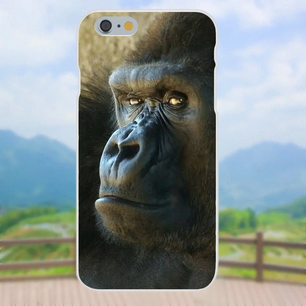 Сверхтонкий чехол с рисунком узором для Xiaomi Redmi Note 2 3 S 4 4A 4X5 5A 6 6A Pro Plus стекла Gorilla