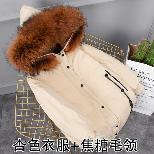 Apricot-caramel fur 5XL, плюс размер, белый пуховик на утином пуху, женские зимние парки, гусиное перо, пальто, длинная теплая одежда, мех енота, верхняя одежда, Okq070 - Цвет: Apricot-caramel fur
