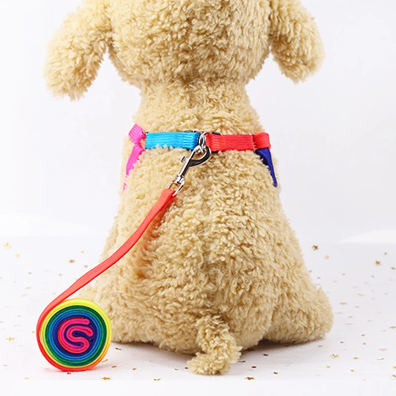 Поводок для маленьких собак нагрудный ремень поводок питомцев ошейник кошек