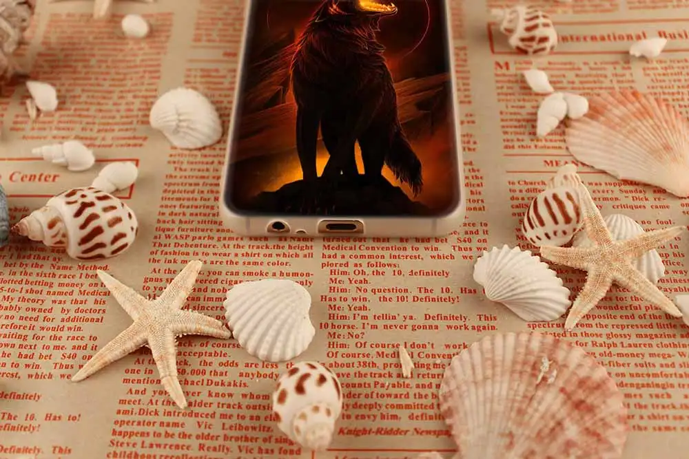 Силиконовый чехол для samsung Galaxy A6 A8 A9 A7 A5 A3 плюс A6S звезда вой картинки волка
