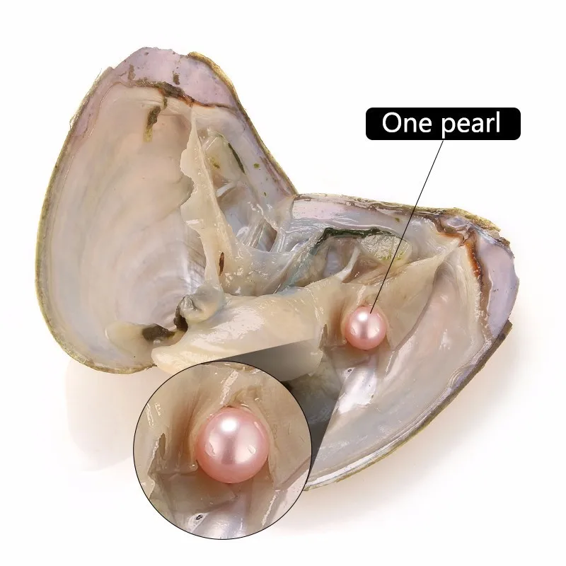 Розовый цвет жемчуг Oysters Akoya AAA Оптовая Продажа Красочные Круглые бусины для