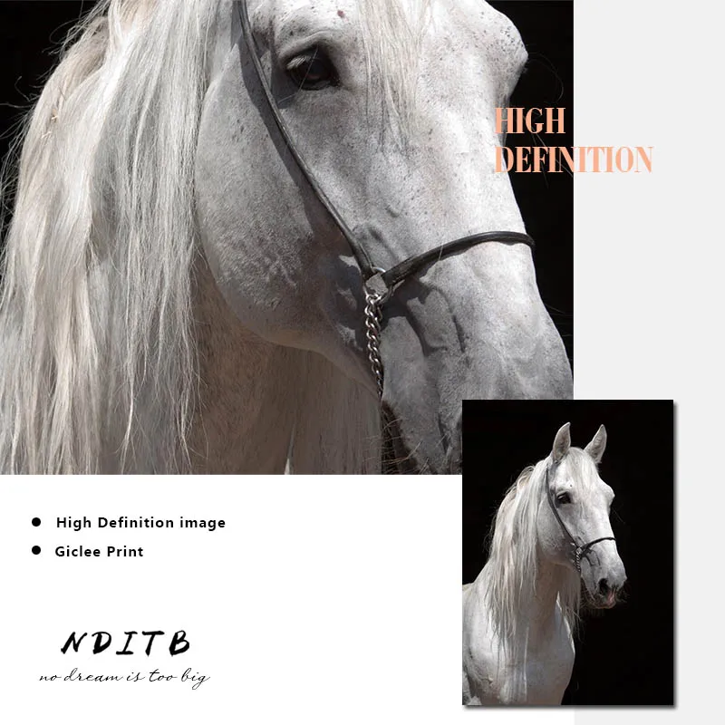 Декоративная картина в виде зебры лошади животных черный и белый плакат