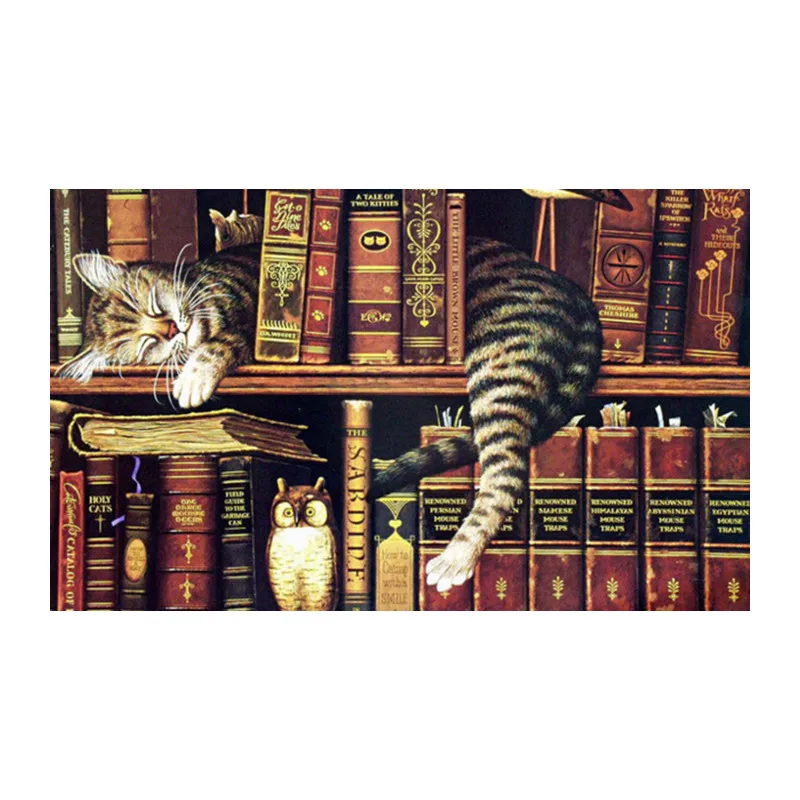 5d diy diamond cross stitch Bookshelf Cat painting embroidery mosaic rhinestones picture paint craft Home Decor gift | Дом и сад