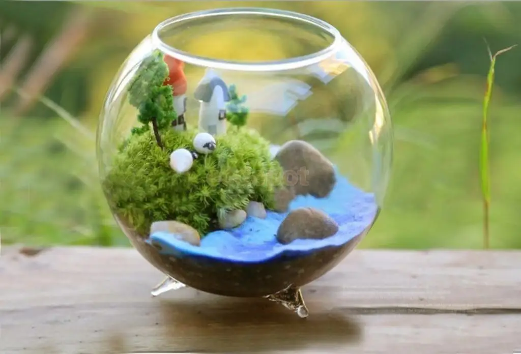 2 шт. гидропонная ваза|Вазы| |