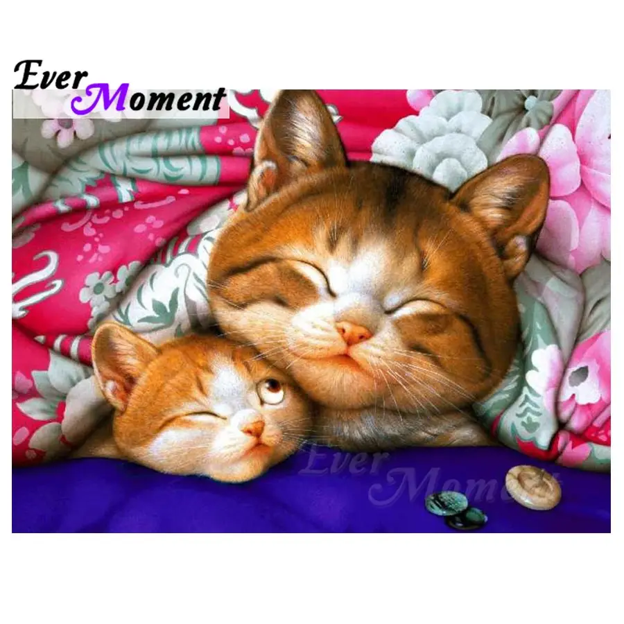 Когда-нибудь момент алмазов картина кошки спальные наборы для вышивки крестом 5D