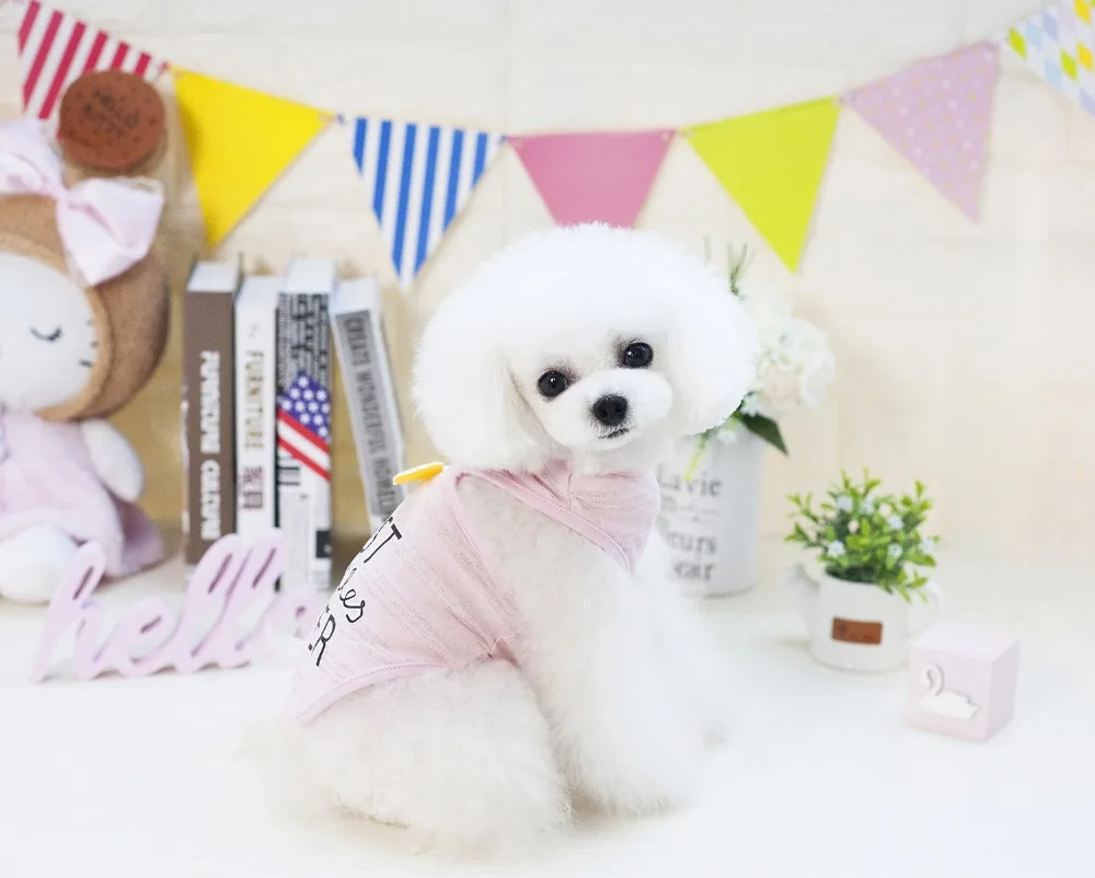 10 шт./лот) Pet Dog Angel Футболка с крыльями жилет одежда для щенка, котика одежда костюм Cachorro для Teddy Chihuah s-xxl DE27