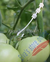 100pcs plastic peduncle hang hooks plant fastener plant vines tomato melon cucumber flower vegetable farming hang hook clip