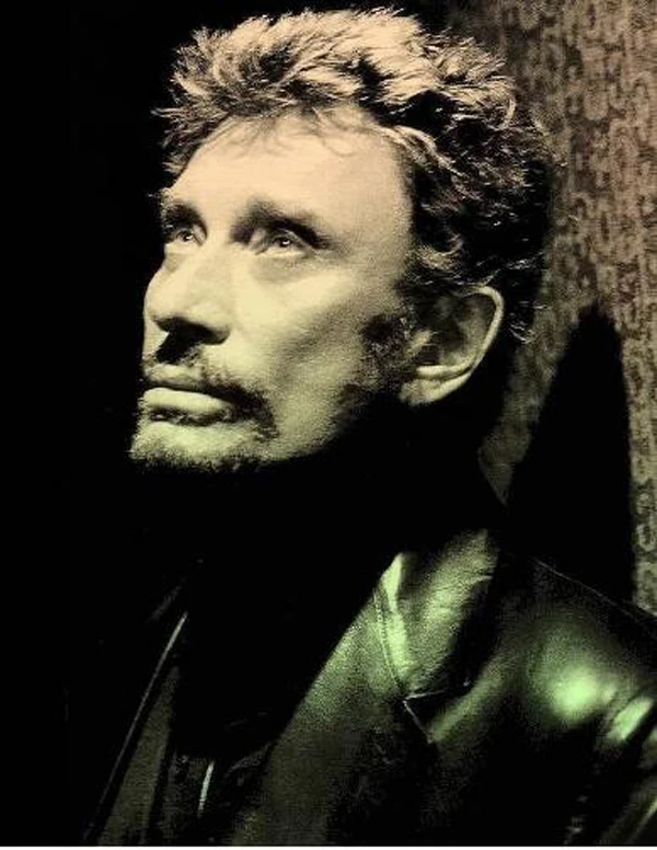 Алмазная живопись по мотивам рок-певицы французская вышивка сделай сам Набор для