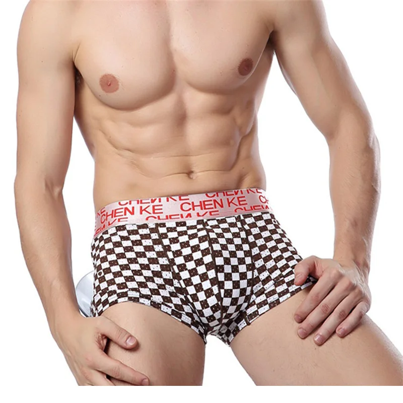 Chenke365 Brand Boxer Men Underwear Plaid Ice Silk Spandex Boxers Mens Penis Pouch Shorts Panties Male Short Underpants Cuecas | Мужская