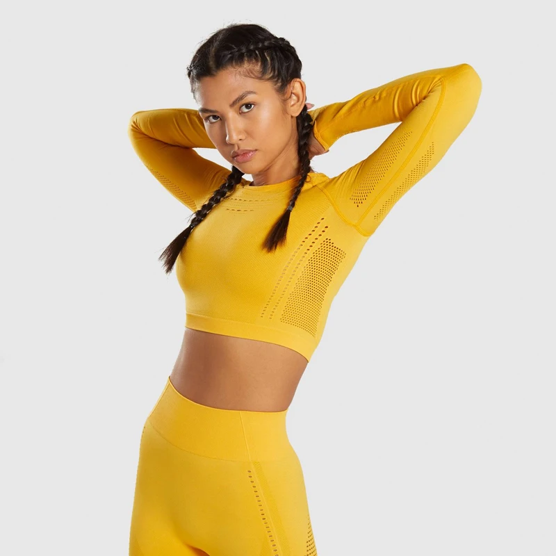 Seamless High Waist Pants And Shirts Women Sport Fitness Yoga Legging Set 2 pieces