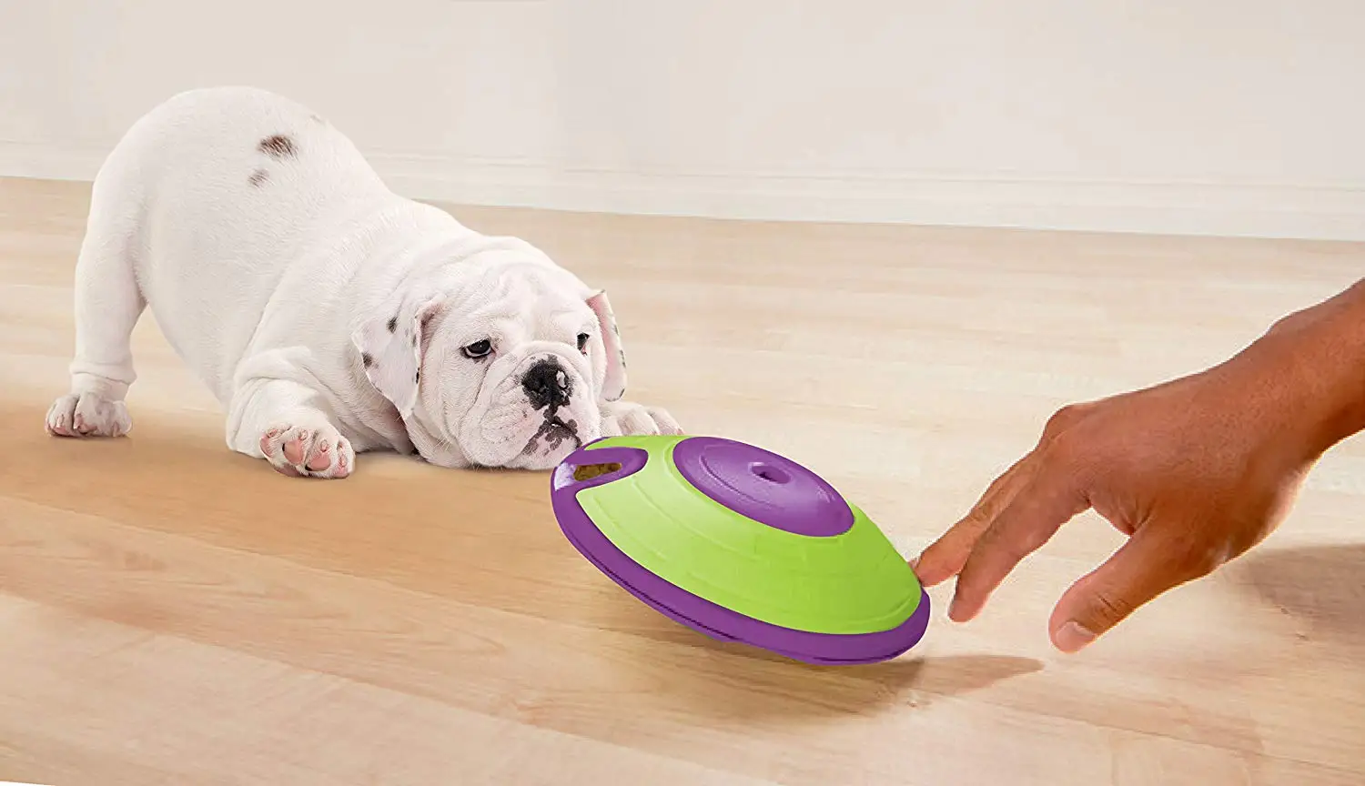 Лабиринт для собак игрушка дозирующая собака игра развития мозга и упражнений от