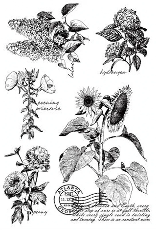 Подсолнечника прозрачный силиконовый штамп/печать для DIY Скрапбукинг/фото