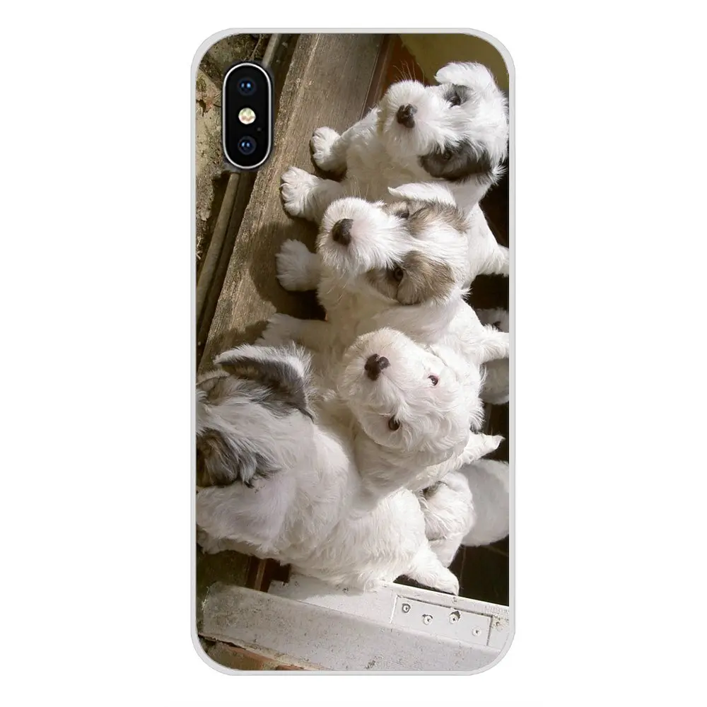 Чехлы для мобильных телефонов West Highland White Terrier Dog Scotland Samsung Galaxy S4 S5 MINI S6 S7 edge S8 S9 S10 Plus