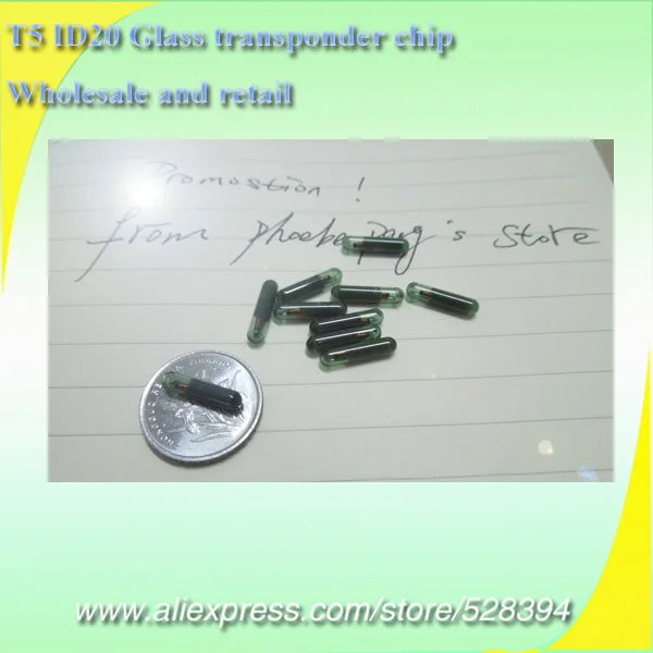 5pcs/lot Virgin Transponder Ch	