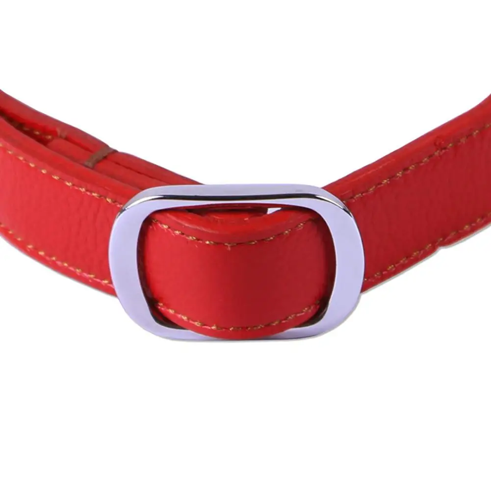 Ошейник для кошек TPFOCUS маленьких собак щенков из искусственной кожи ошейник