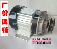 permanent magnet dc brushless motor bm1418zxf model pulley motor