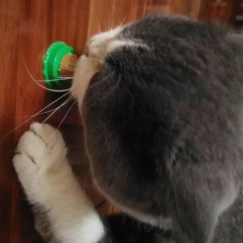 Полезный безопасный кошачий мячик для кошек игрушки вылизывания твердый