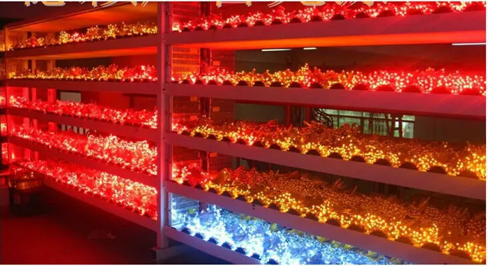 Светодиодная рекламная буквенная цепная лампа/светодиодный пиксельный модуль