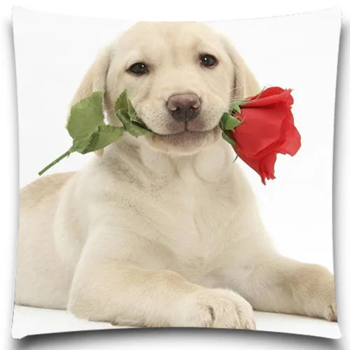 Квадратные наволочки с изображением собаки на траве хлопковые Полиэстеровые 5