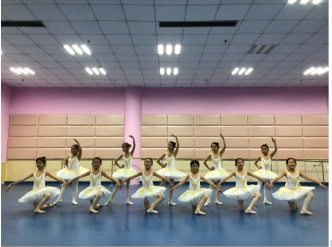 

New Professional Ballet Dresses Kids Ball Tutu Swan Lake Costumes Children Pancake Cosplay Girls Dancewear Leotard Dress