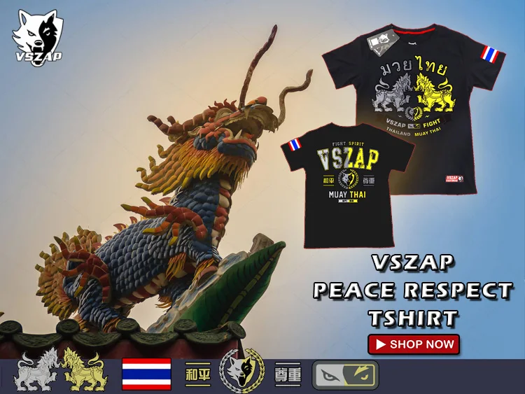 VSZAP fight популярный логотип MMA kirin Спортивная тренировочная футболка coyote с коротким