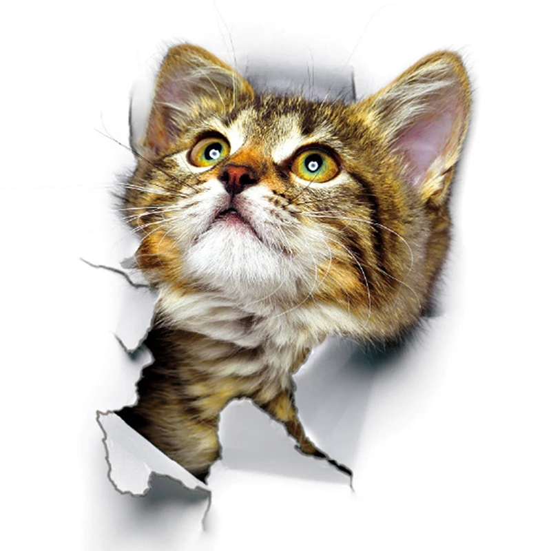 Отверстие вид Cat 3D стены Стикеры Ванная комната туалет детская украшение