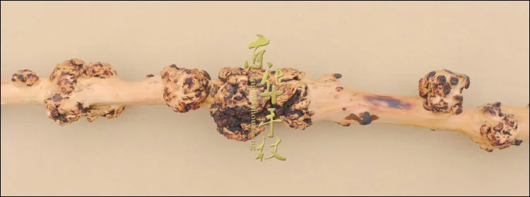 Оригинальный экологический натуральный деревянный узел Круглый ротанговый