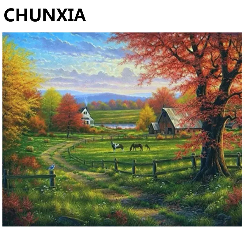 CHUNXIA живопись по номерам DIY обрамленные картины из масляной краски настенный