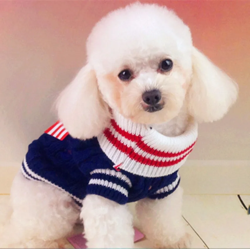 Темно HOND kleren Warme trui щенок JAS зимняя одежда voor Чихуахуа kleding Kleine Pet 10S2|chihuahuas puppies|pet