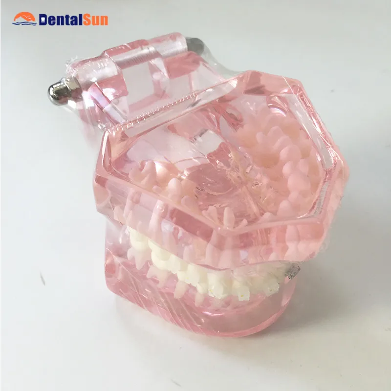 

Dental Orthodontics Model with Self-ligating Bracket M3012
