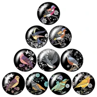beauty vintage birds magpie 10pcs mixed 12mm16mm18mm25mm round photo glass cabochon demo flat back making findings zb0979