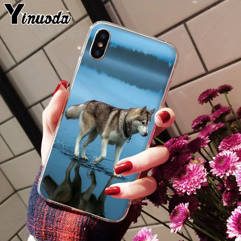 Yinuoda Мягкий силиконовый чехол для телефона из ТПУ с изображением животных хаски