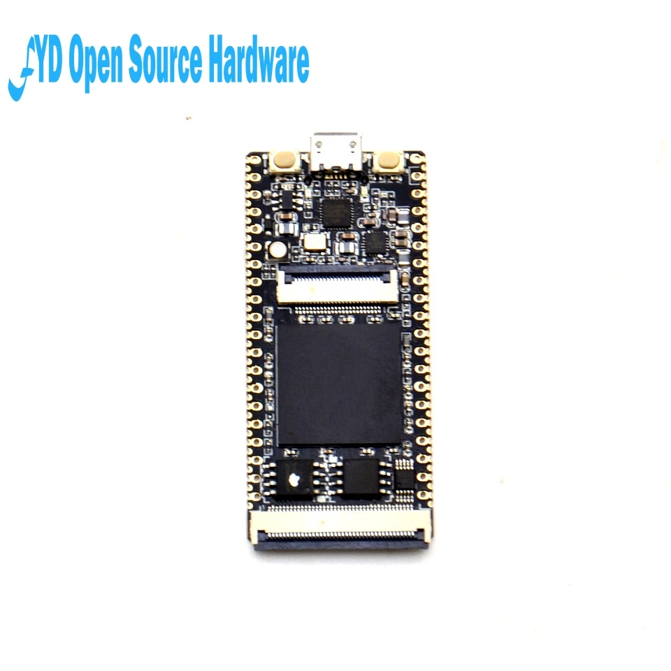 1 шт. 64 Мбит SDRAM RISC V модуль макетной платы Мини ПК + FT2232D JTAG USB RV