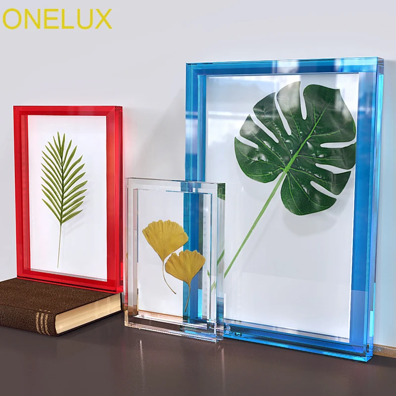ONELUX наборы акриловых ботанических образцов рамка с магнитами Lucite