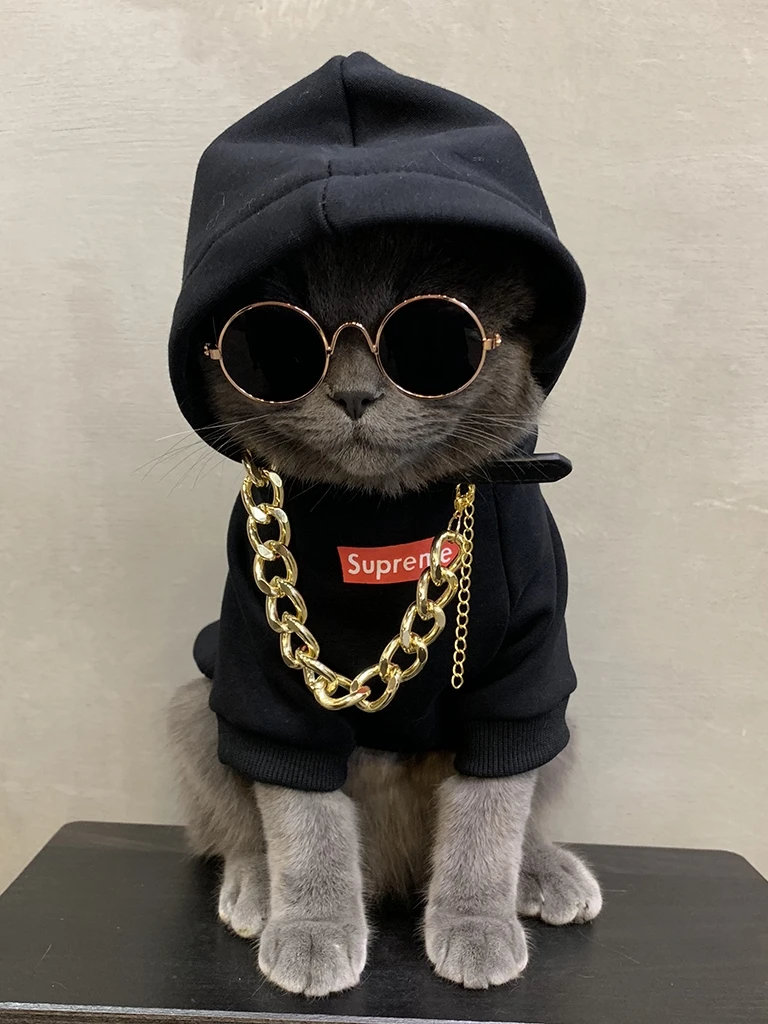 Худи с кошкой Одежда для кошек собак Ropa Para Gato одежда щенков теплая толстовка