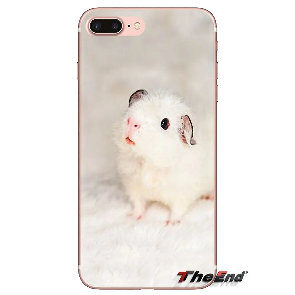 White guinea pig Animal Soft Transparent Shell Covers For iPod Touch Apple iPhone 4 4S 5 5S SE 5C 6 6S 7 8 X XR XS Plus MAX |