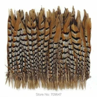 50pcslot12 14 30 35cm reeves pheasant feathersloose natural reeves venery pheasant tail feathersfeathers decoration