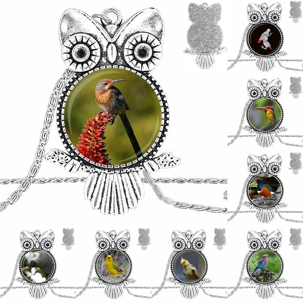 Ей глазурь для женщин и девушек конговский Африканский красный хвост серый