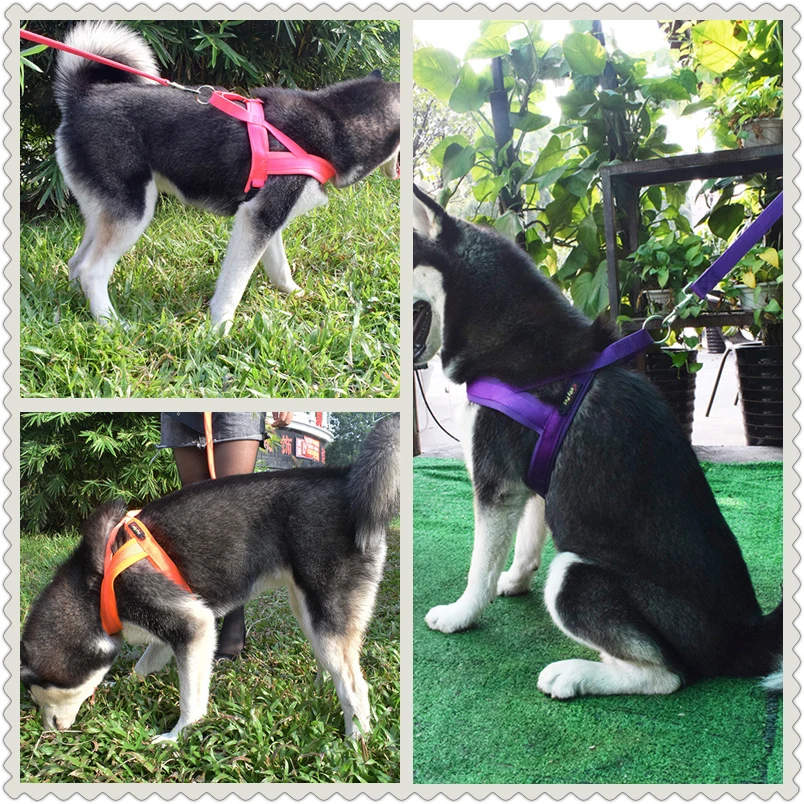 Регулируемый Воздухопроницаемый жилет шлейка поводок для щенков кошек собак