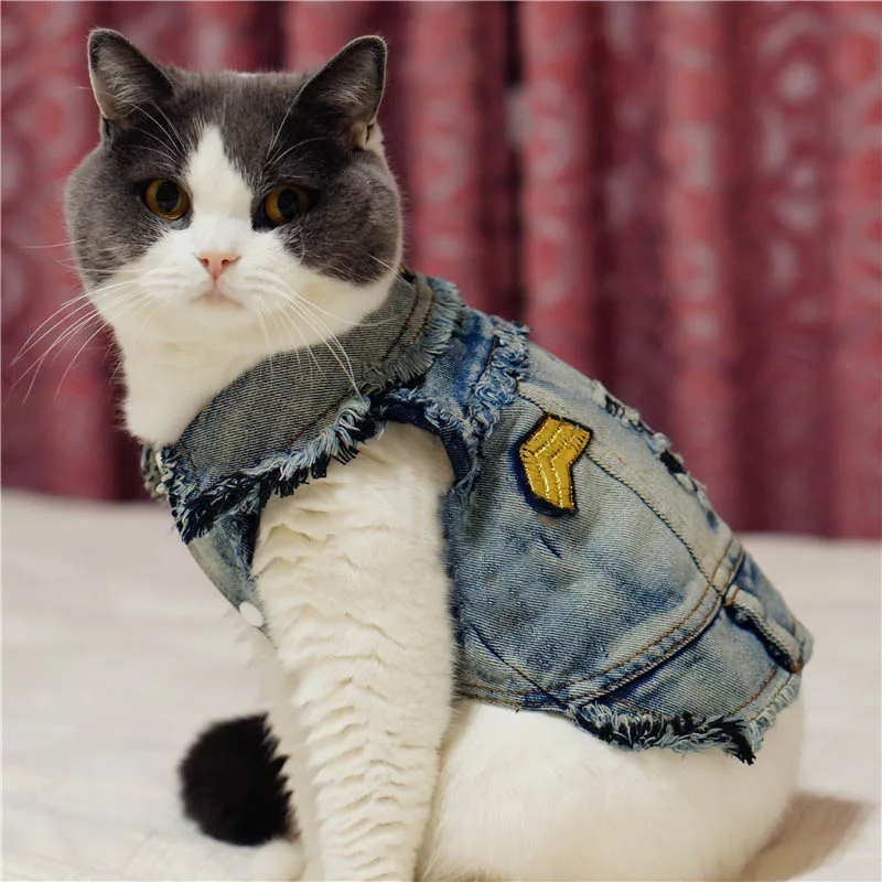 Джинсовая одежда для кота домашних питомцев Верхняя жилет щенка крутая куртка