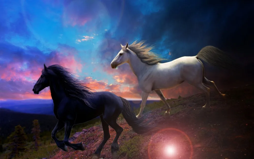 

2016 Photo Customize size animal horse picture 3D Window Curtains For Bedding room Home Decoration