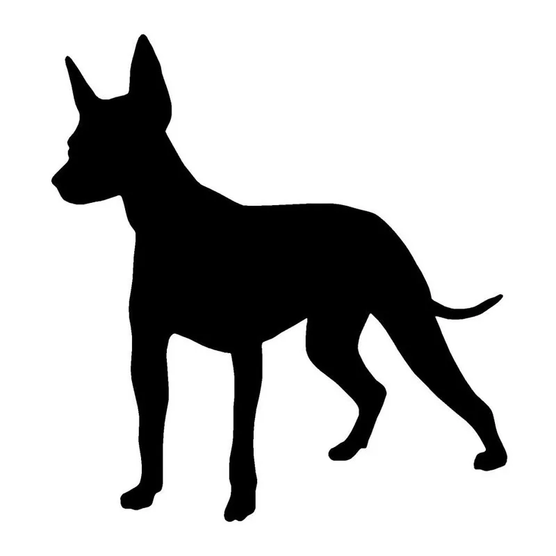 11,9*12,7 см Xolo собака креативное мультяшное тело декоративная наклейка милое животное строительные наклейки