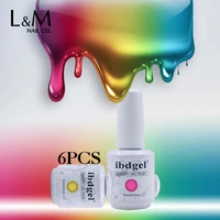 6pcs factory supplier colors nail gel polish uv gel soak off long lasting nail art tips