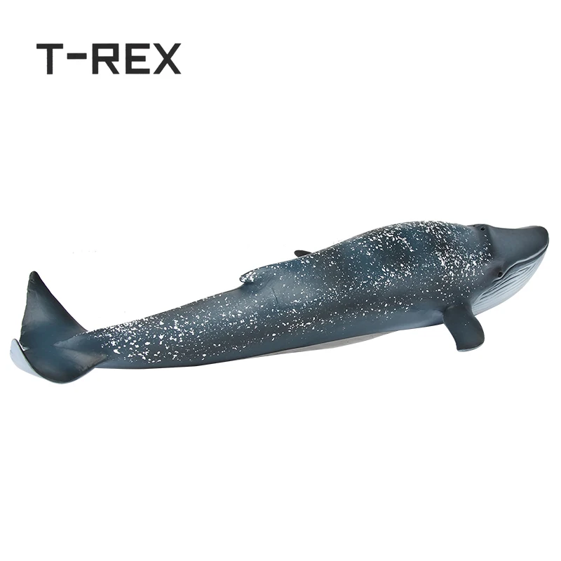 T REX 27 см ПВХ имитация морского Кита модель животного для детей человек против